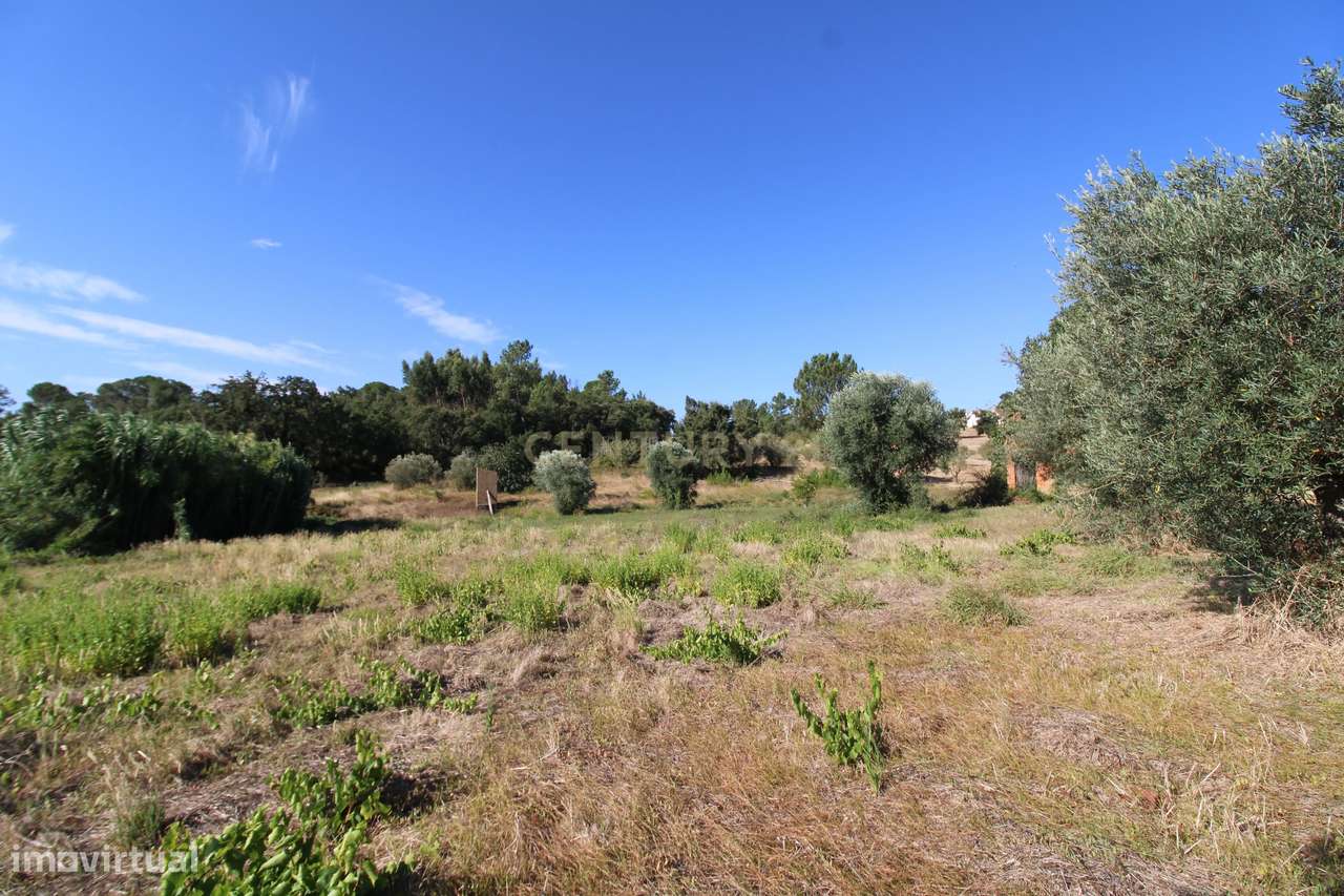 2 Terrenos Rústicos c/poço de água próximo da Cidade de Tomar - Grande imagem: 4/12