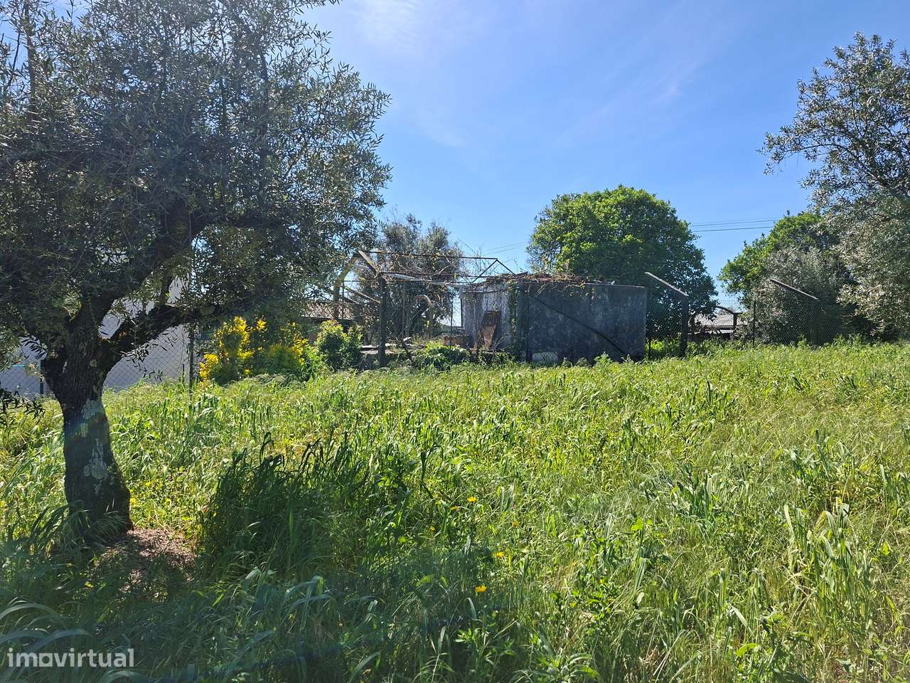 Terreno  Venda em Valhascos,Sardoal - Grande imagem: 5/11