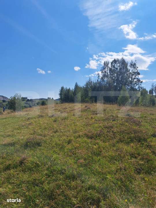 Teren extravilan 4.604 mp cu curent – ideal pentru cabana, zona Tran - Imagine principală: 3/3