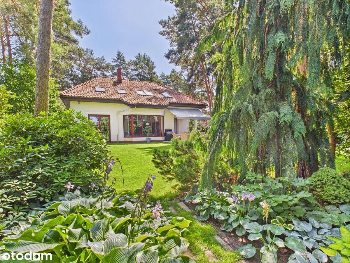 Nietuzinkowa, Absolutnie WyjĄtkowa Lokalizacja-8