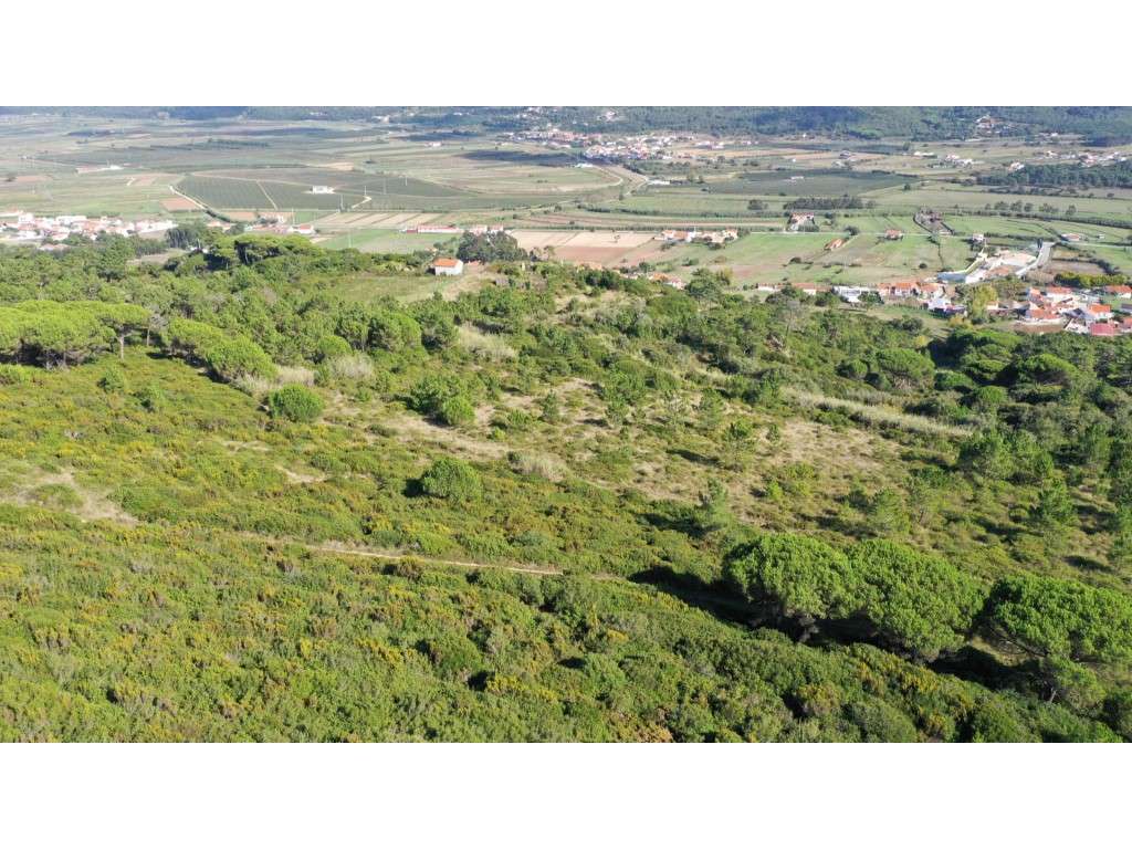Terreno Misto na Serra da Pescaria - Grande imagem: 4/8