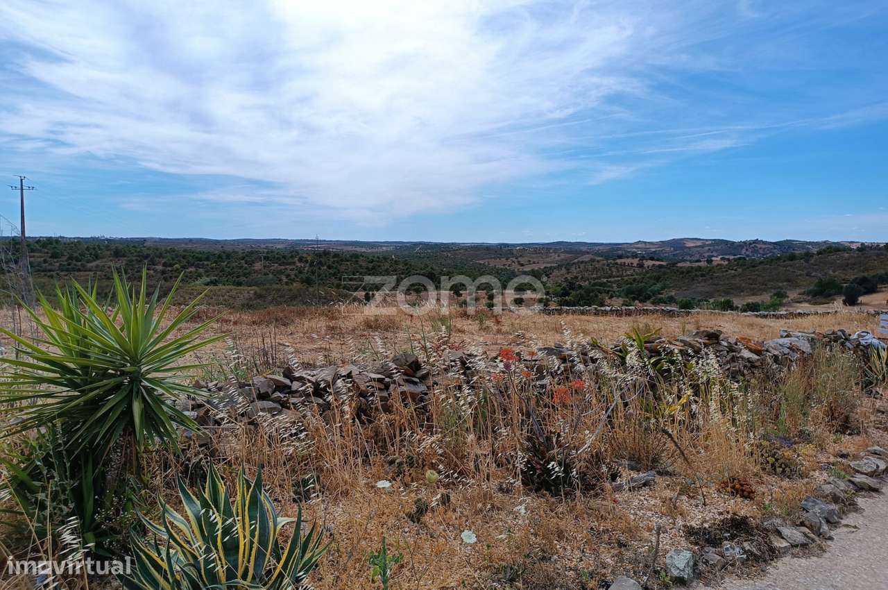 Ruina para recuperar com pomar - Grande imagem: 3/22