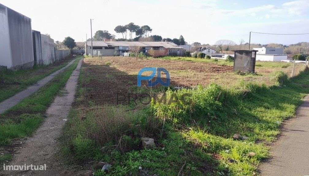 Terreno de 3850 m2 + Armazém | Potencial para Moradias-1