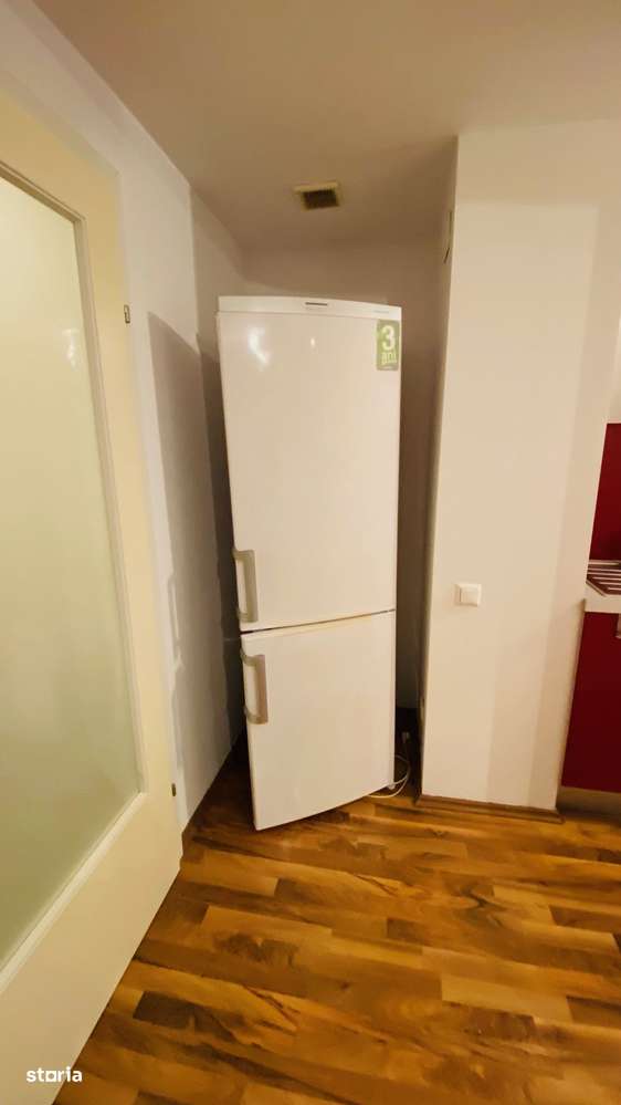 Lacul Tei - Inginerilor-11