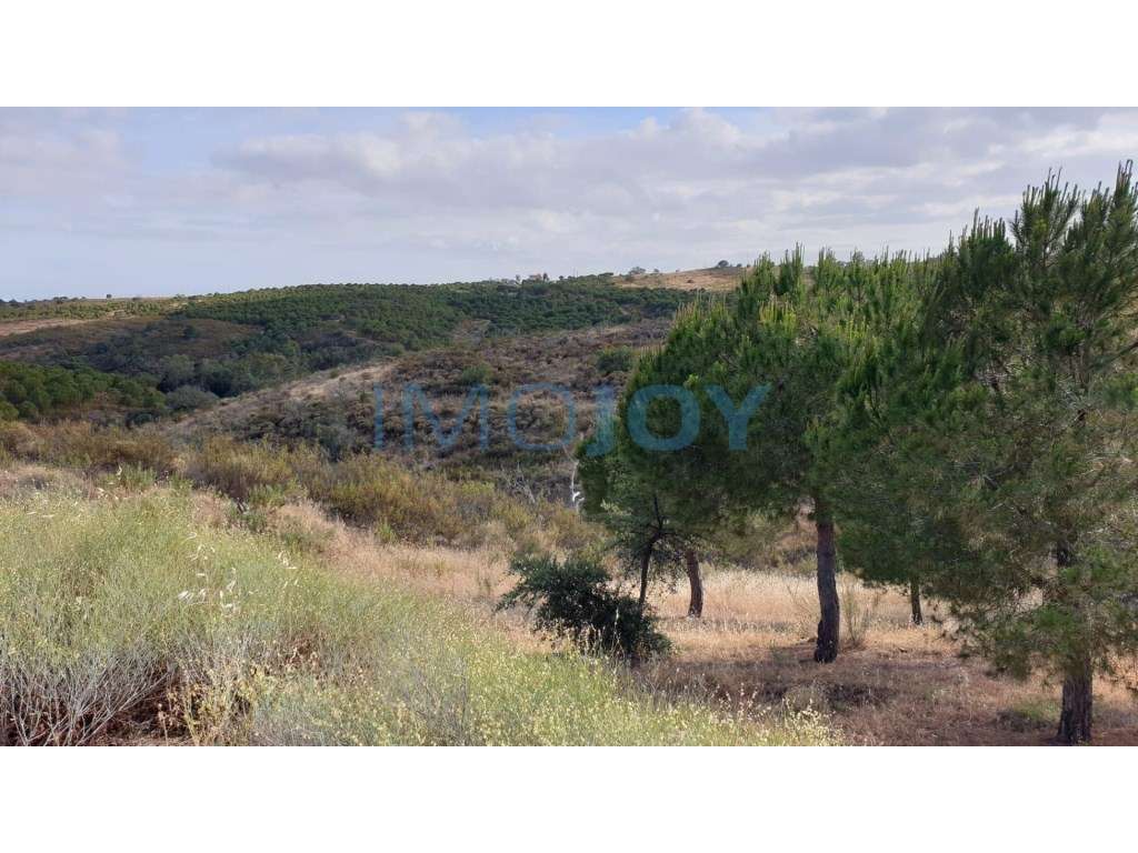 Terreno na Murteira de Baixo, Azinhal em Castro Marim - Grande imagem: 2/12