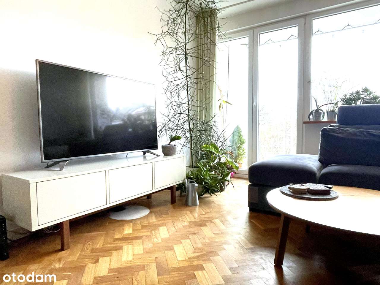 Centrum Stare Miasto Media Miejskie Widok Panorama Rozkładowe-6