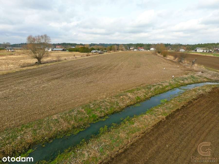 5 działek budowlanych koło Chełmna ! Wydane WZ - Pełny obrazek: 4/14