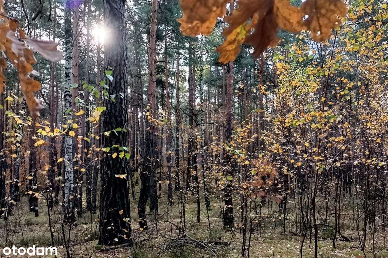Działka na Wawrze z WZ na dwa bliźniaki. OKAZJA-4