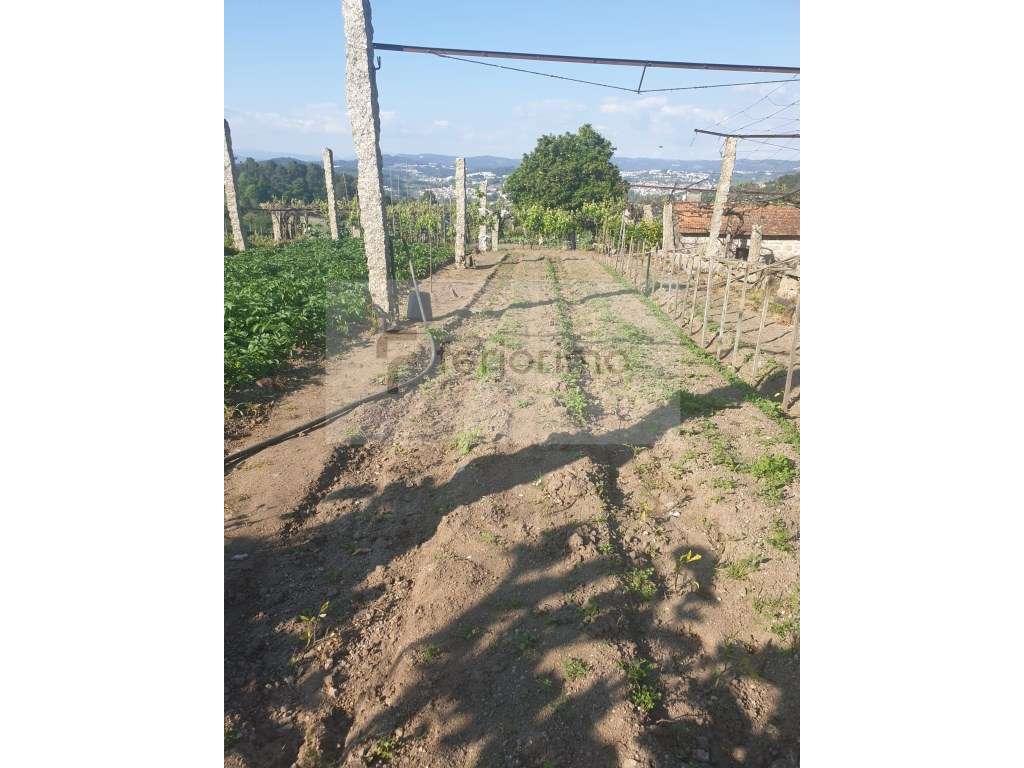 Quintinha com casa para restauro com pormenores de pedra, para rest... - Grande imagem: 5/10