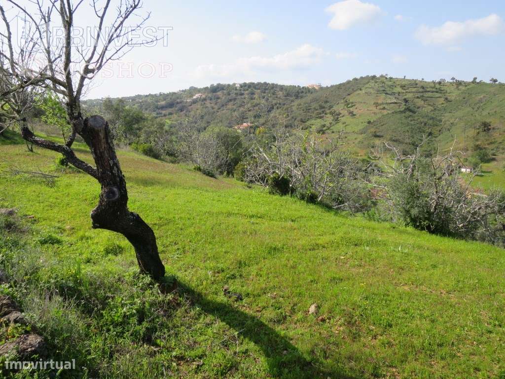 Terreno urbano com vista mar, São Brás de Alportel, Algarve - Grande imagem: 4/23