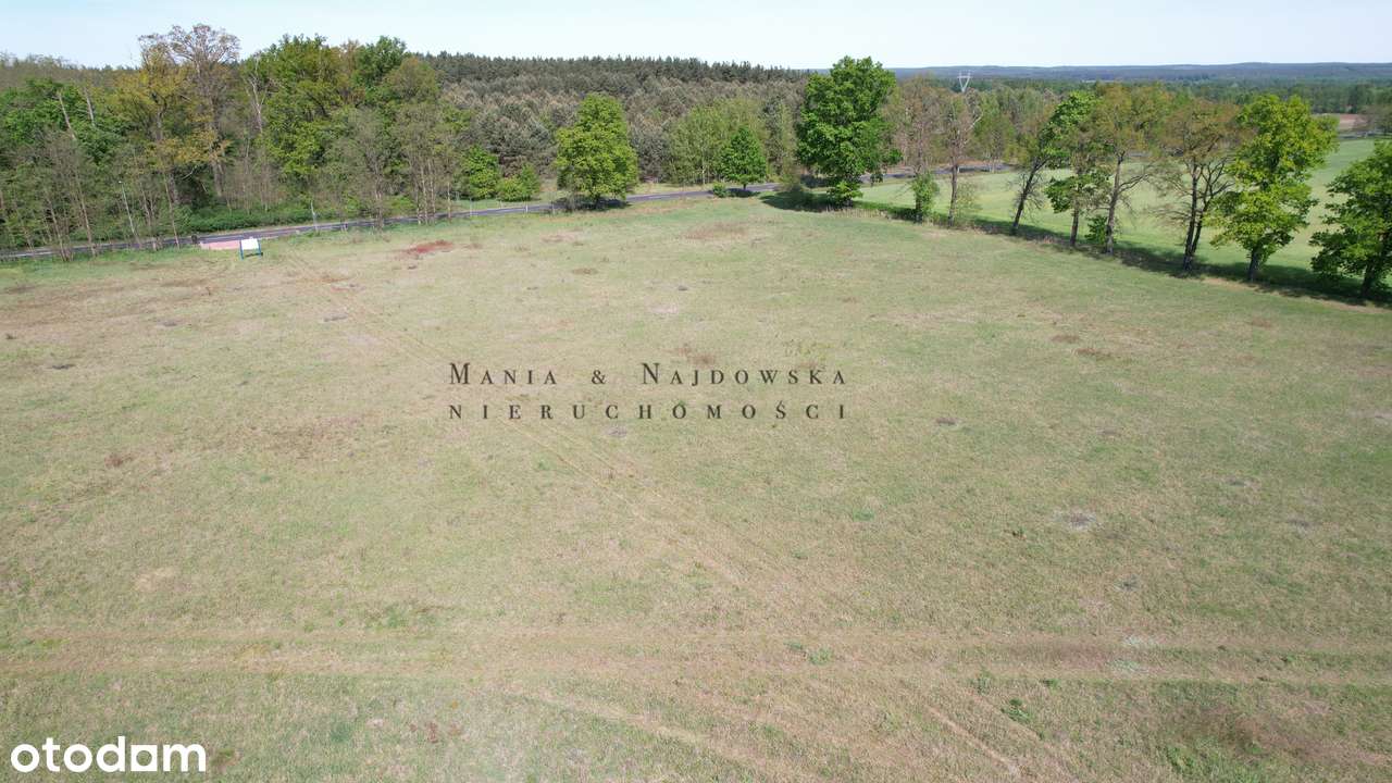 Na sprzedaż działki budowlane Zielona Góra - Jeleniów-3