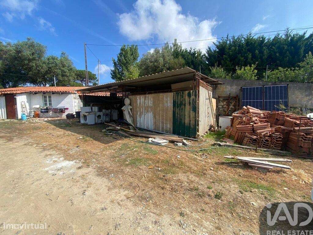 Casa / Villa em Santa Maria, São Pedro e Sobral da Lagoa de 42,00 m2 - Grande imagem: 5/11