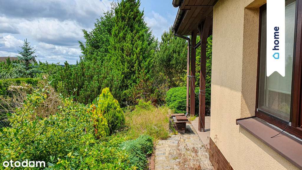 Mrozów - dom z dużą, zagospodarowaną działką - Pełny obrazek: 4/17