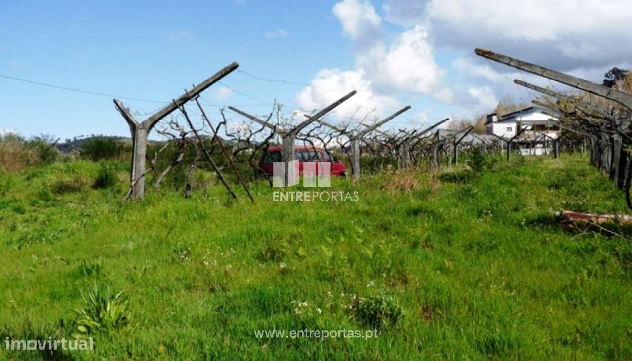 Venda Terreno, Ancede, Baião - Grande imagem: 2/30