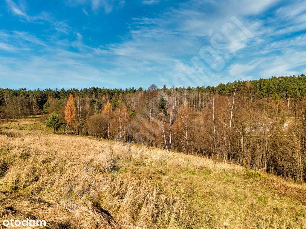 Działka w spokojnym miejscu blisko lasu-9
