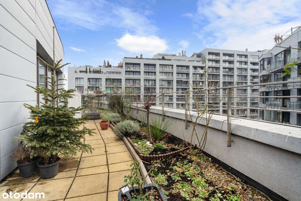 Wysokie 2 pokoje | wielki TARAS | garaż i komórka-3