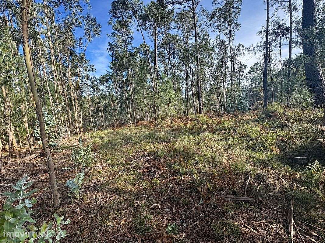 Terreno  para venda - Grande imagem: 5/10