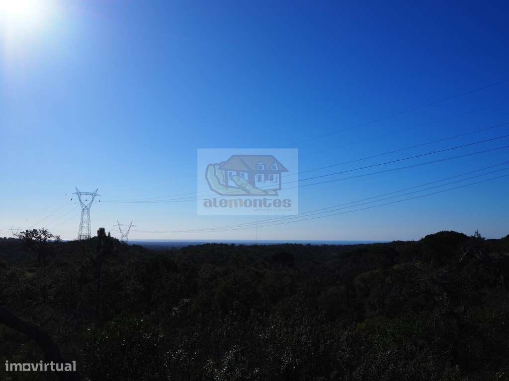 Terreno com 11 hectares e montado de sobro - Grande imagem: 4/10