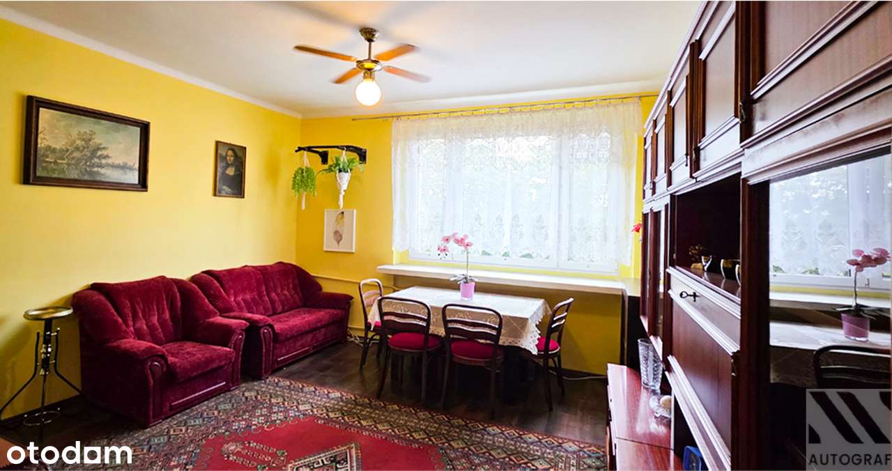 Mieszkanie 37,7 m² z dużym potencjałem, świetną lokalizacją i zielenią - Pełny obrazek: 2/11