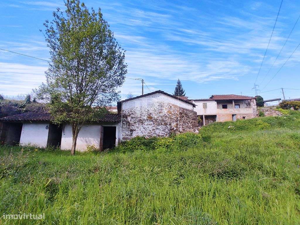 Quinta com 15000m2 em Santo Tirso-15