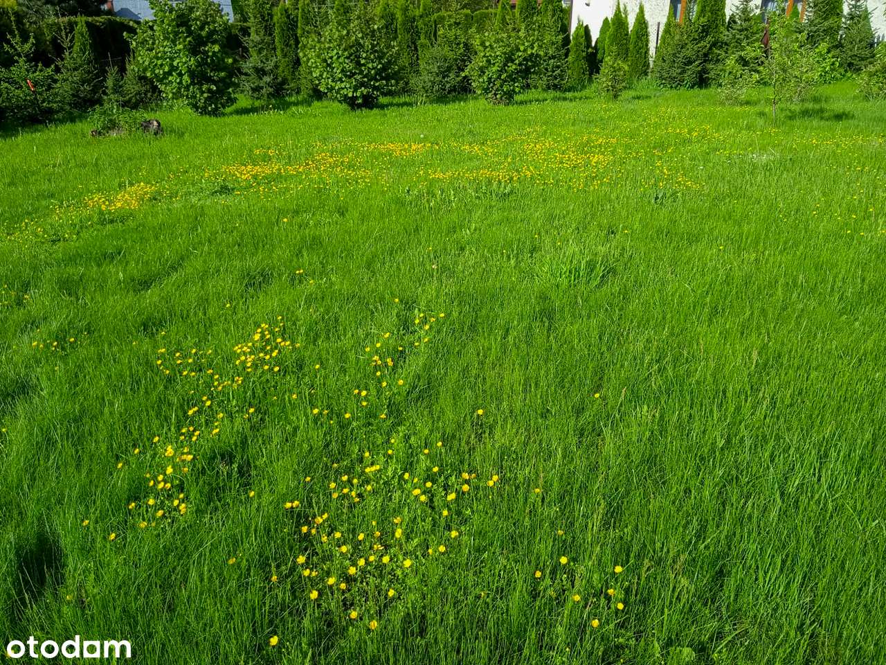 Działka rekreacyjna z drewnianym domkiem - Kończyce Wielkie-6