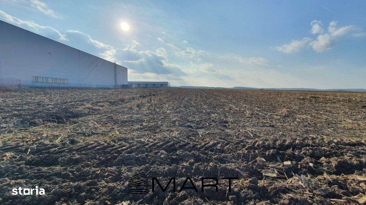 Teren industrial 6000 mp zona industriala Vest - Imagine principală: 4/4