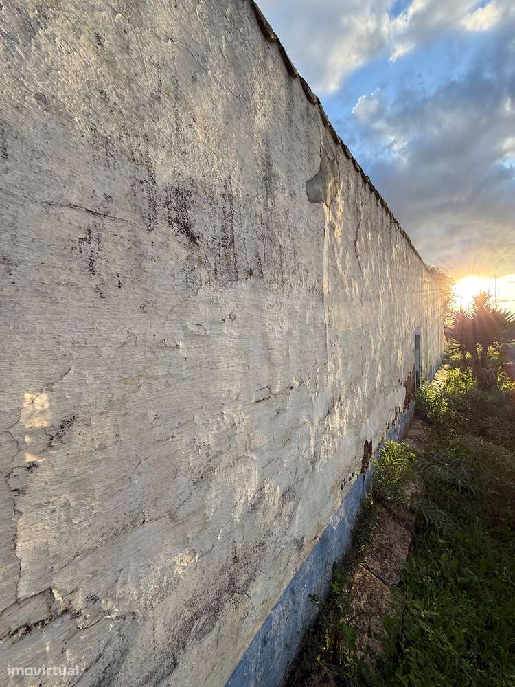 MONTE ALENTEJANO NO ALANDROAL, ÉVORA-49
