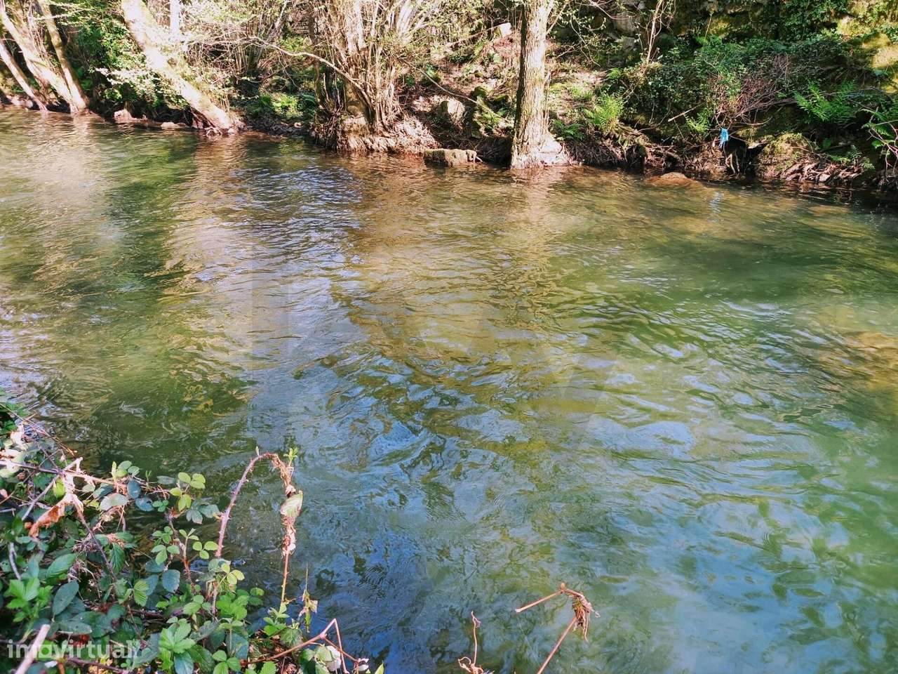 Propriedade Exclusiva com Moinho e confrontação e margem de Rio – Pare - Grande imagem: 5/20