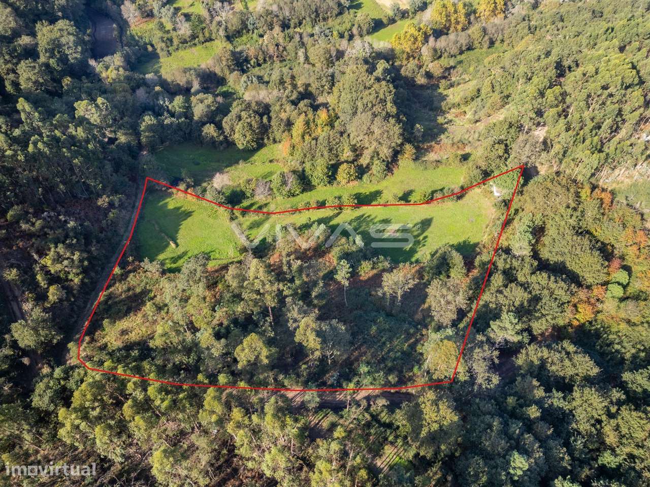 Terreno agrícola em Penascais, Vila Verde - Grande imagem: 4/13