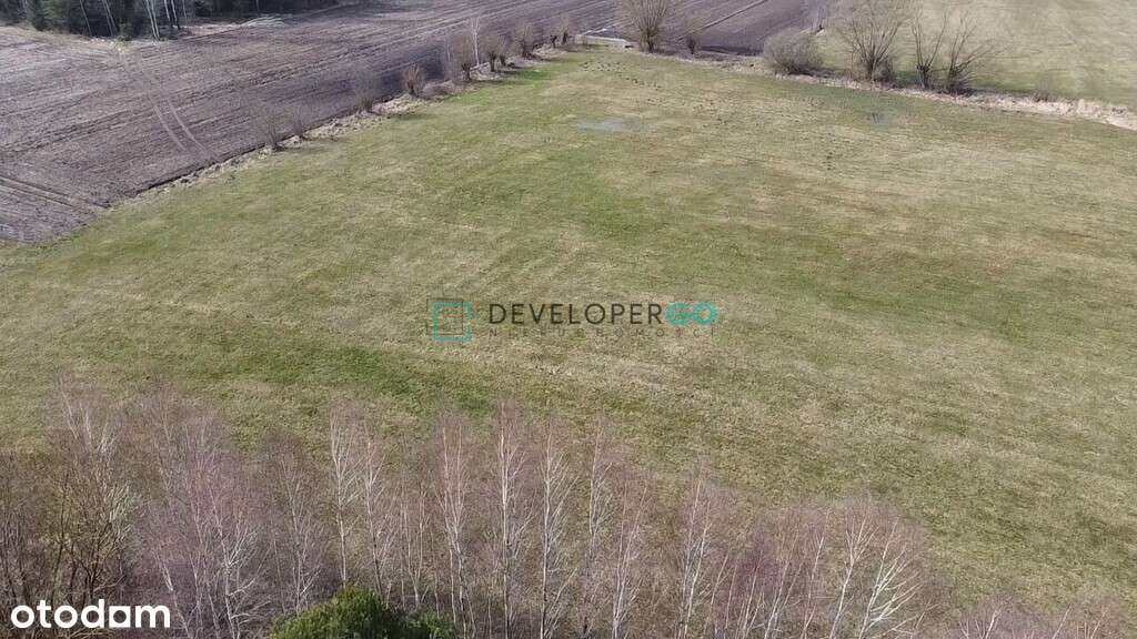 Działka Zaczerlany - 3694 m2 - Pełny obrazek: 4/4