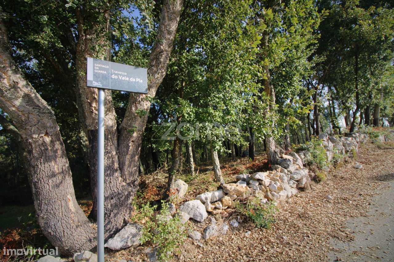 Terreno rústico urbanizável | Santiago da Guarda, Ansião-6