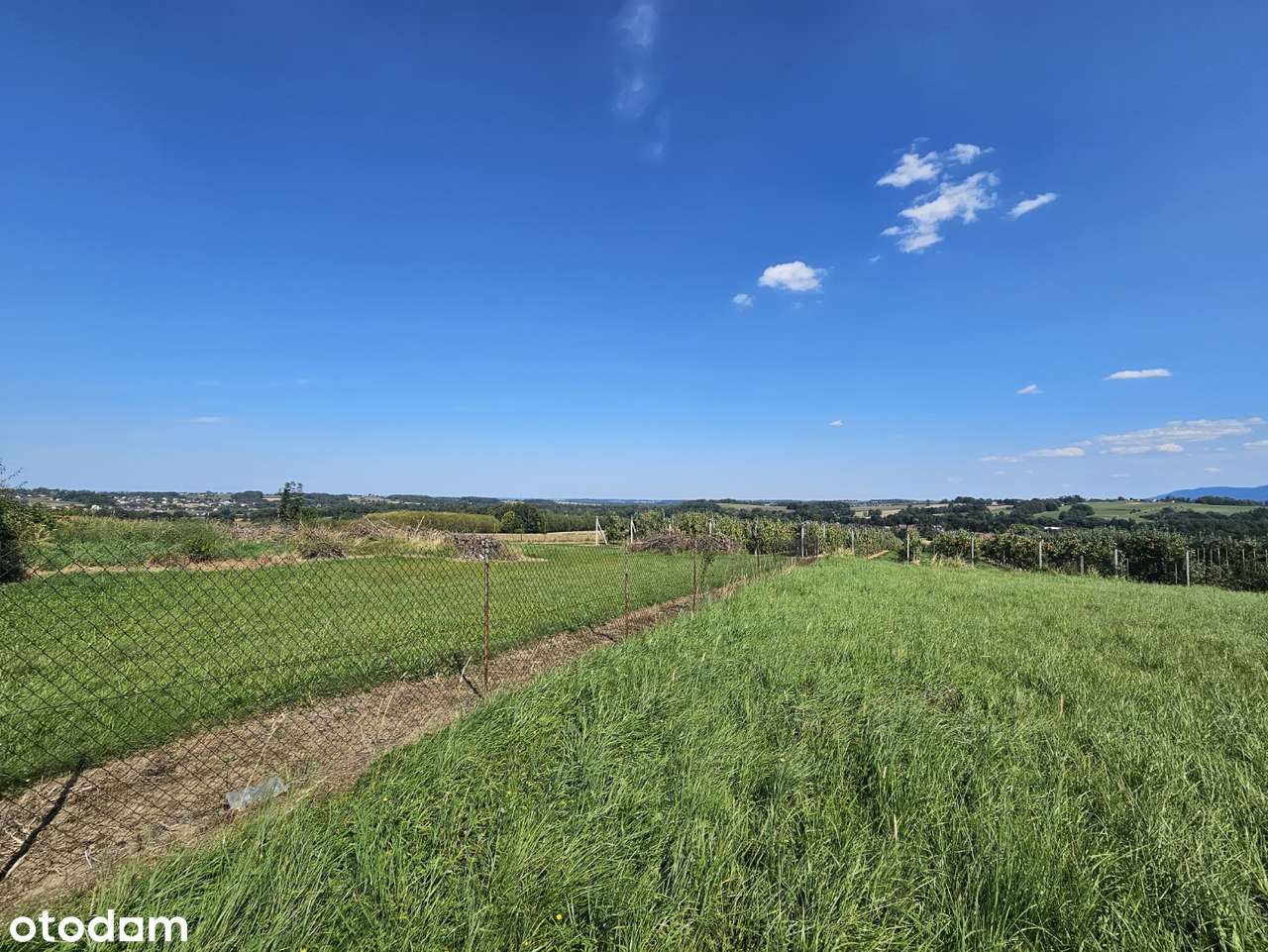 Urocza i zaciszna działka z widokiem na góry i sad-4