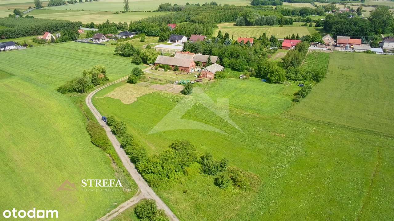 Działka budowlana 1 ha  MPZP, podział 10 działek, pełne uzbrojenie-3