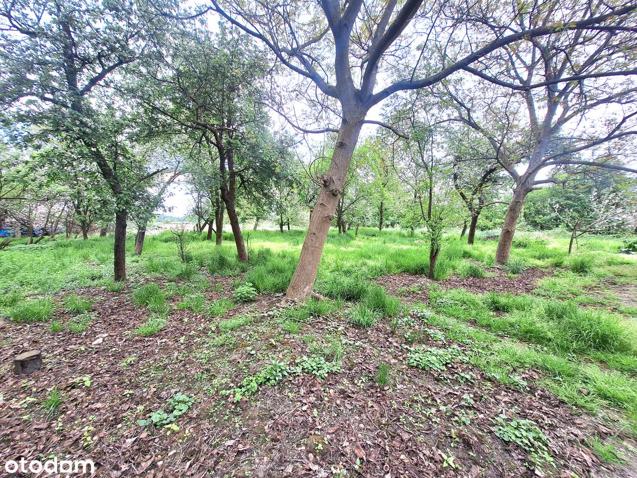 Dom z dużą działką obok Oławy.-13