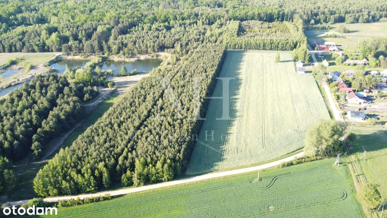 Zielone Podlasie – działka z warunkami zabudowy, blisko Hajnówki! - Pełny obrazek: 5/9