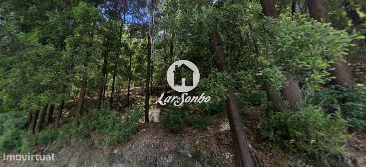 Terreno com 8.000m2 em Santo Tirso - Grande imagem: 4/6