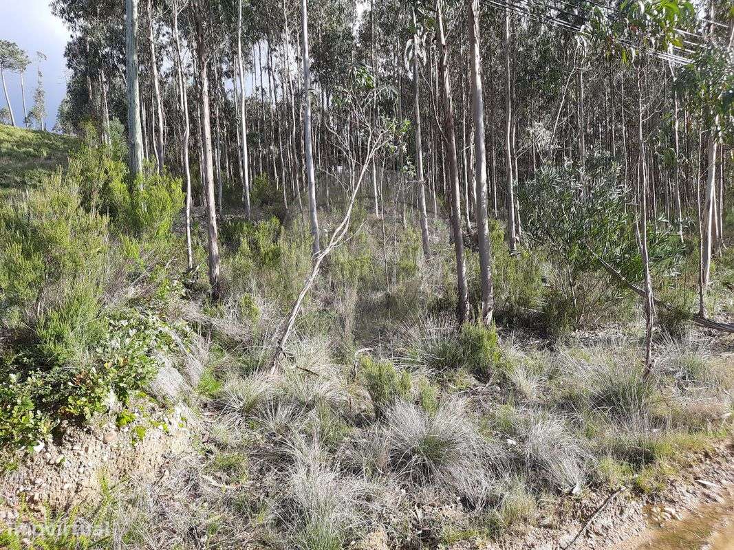 Terreno  para venda - Grande imagem: 2/18