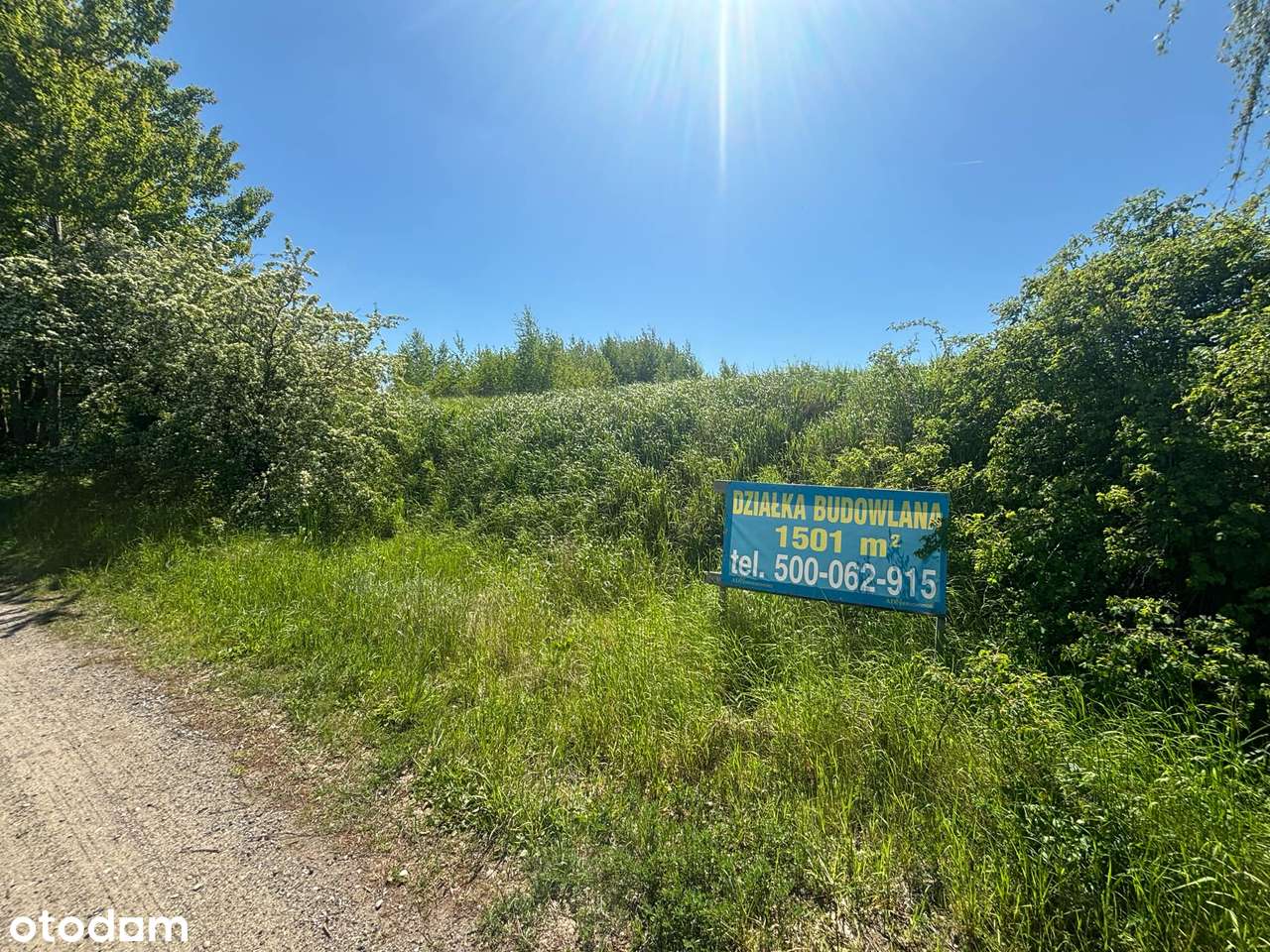 Na sprzedaż działki nad jeziorem sztumskim - Pełny obrazek: 5/9