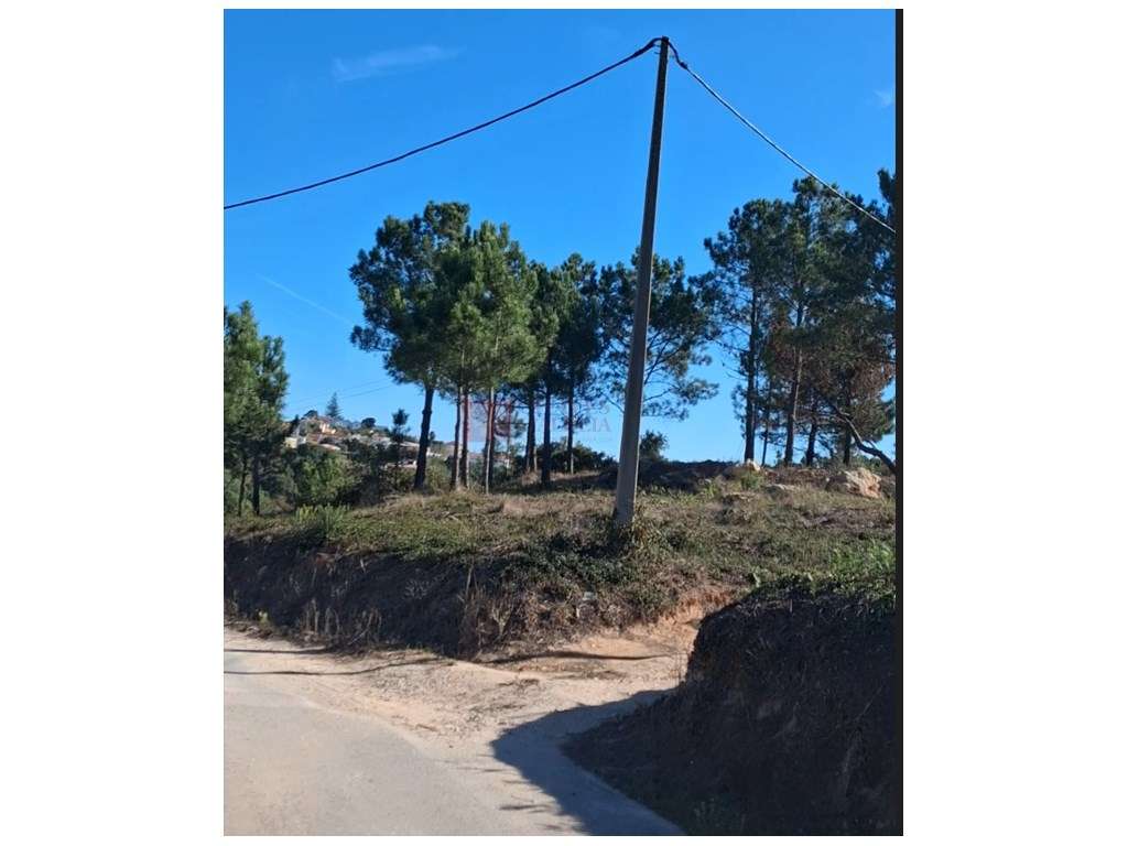 Mafra - Ericeira - Terreno para moradia com vista sobre o vale - Grande imagem: 3/9