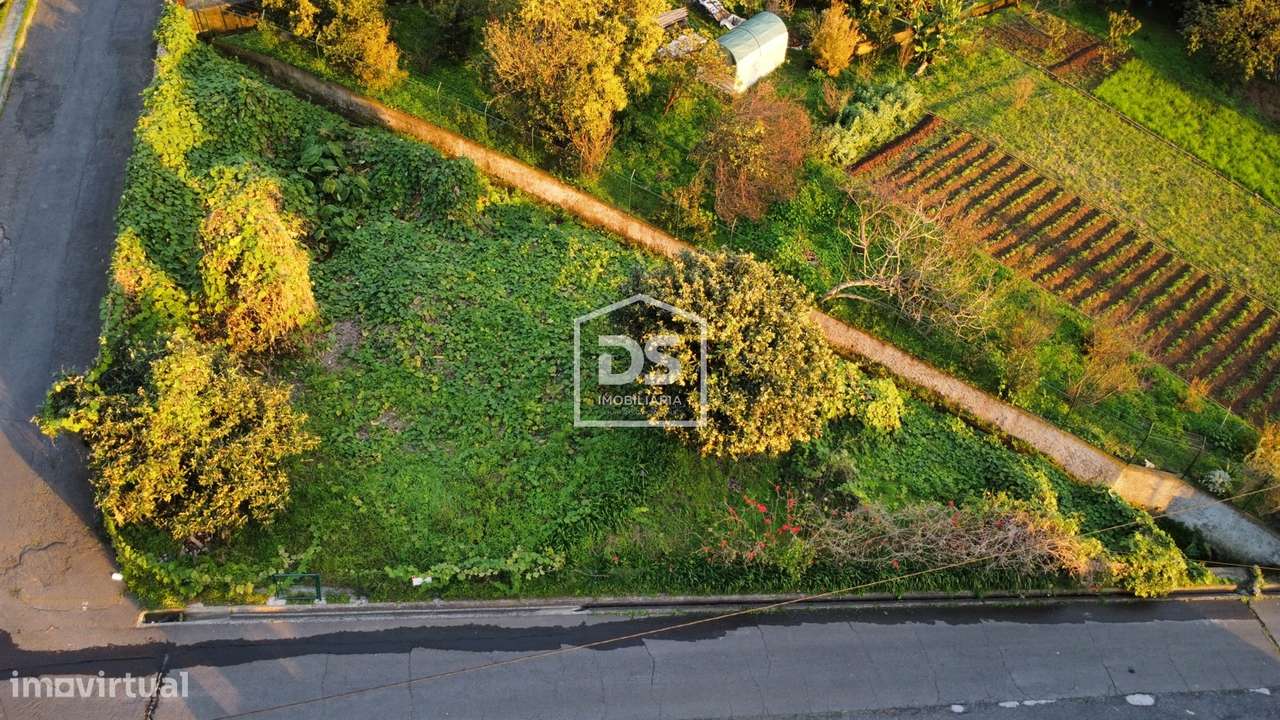 Terreno Para Construção  Venda em Campanário,Ribeira Brava - Grande imagem: 4/4