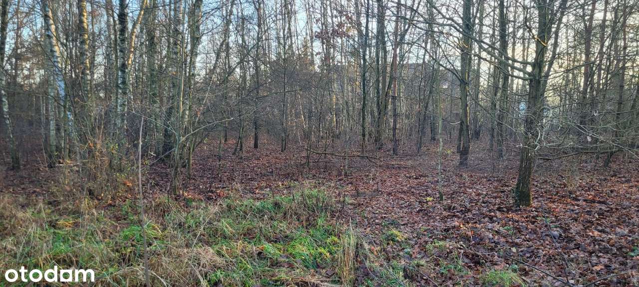 Działka budowlana, ciche i spokojne miejsce Grodzisk Mazowiecki.-5