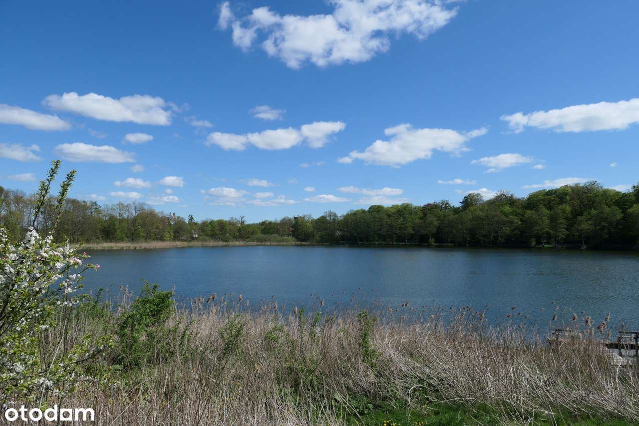 Dom nad jeziorem blisko Kwidzyna - Pełny obrazek: 4/14