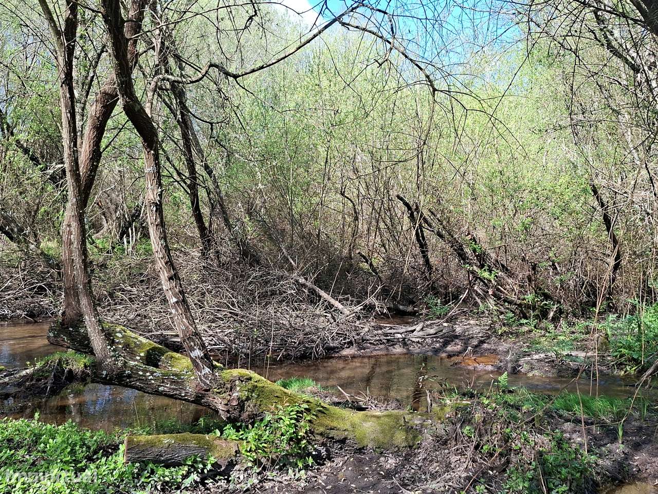 Quinta T5 Venda em Comenda,Gavião-7