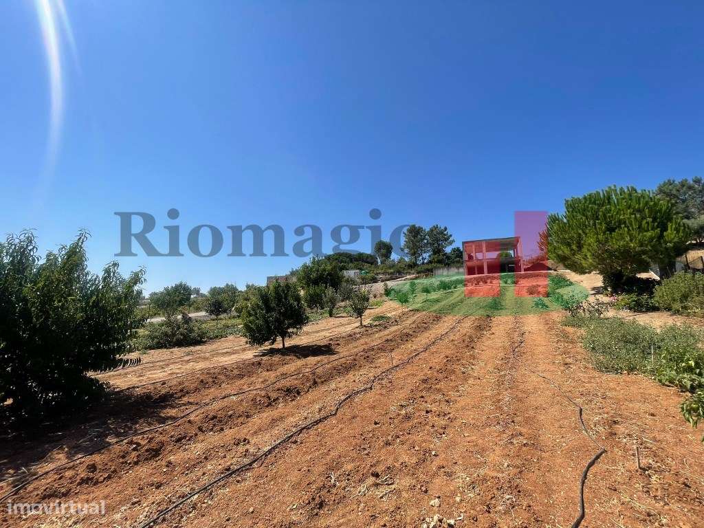 Terreno São João da Ribeira***RIOMAGIC***-30