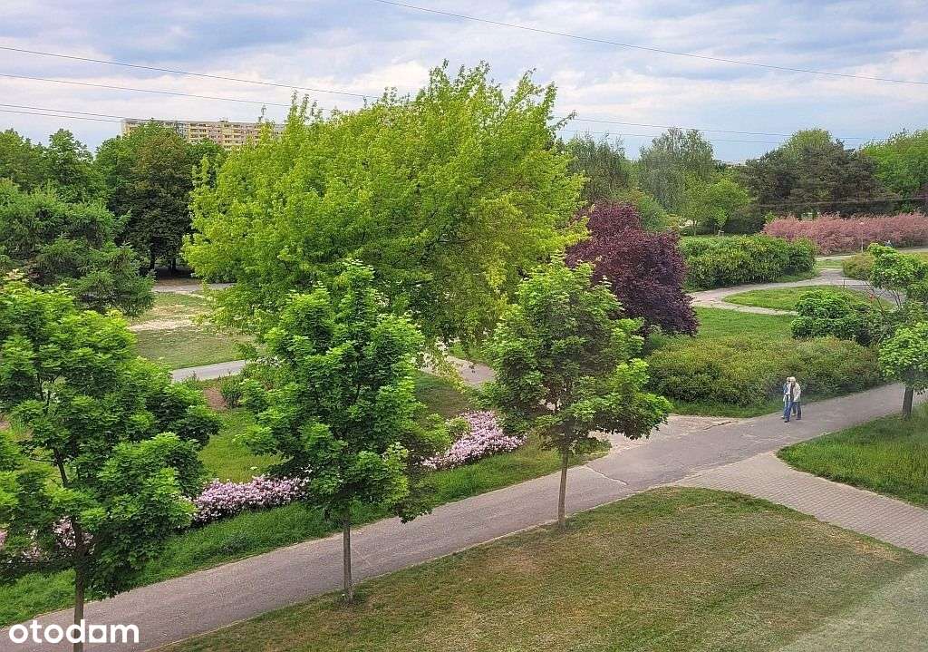 Piątkowo kawalerka niski blok spokojna okolica-5