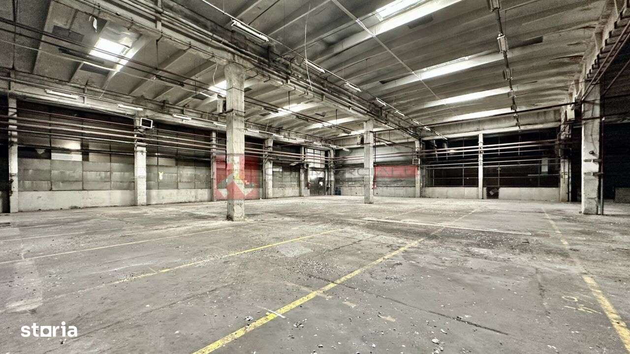 HALA 6000 MP - PRET ATRACTIV - ACCES FACIL - CODLEA - Imagine principală: 4/7