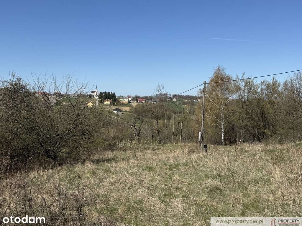 Działka widokowa 26.5 ar, Stasiówka, Dębica - Pełny obrazek: 5/17