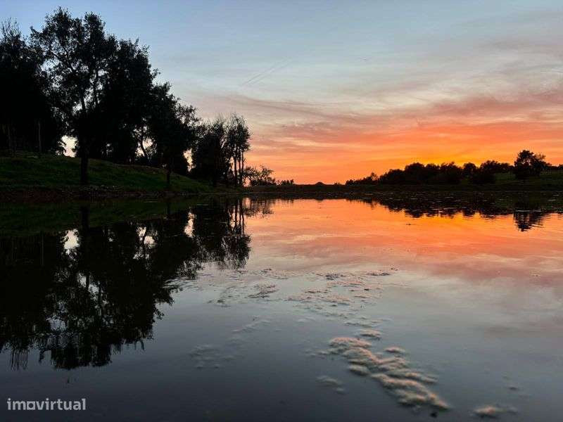 Vende-se propriedade - Grande imagem: 5/5