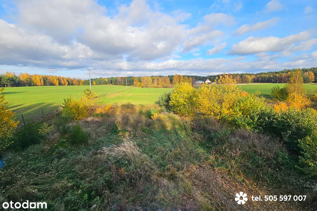 Na sprzedaż przytulny dom z działką 1000m2 w sąsiedztwie lasów-11