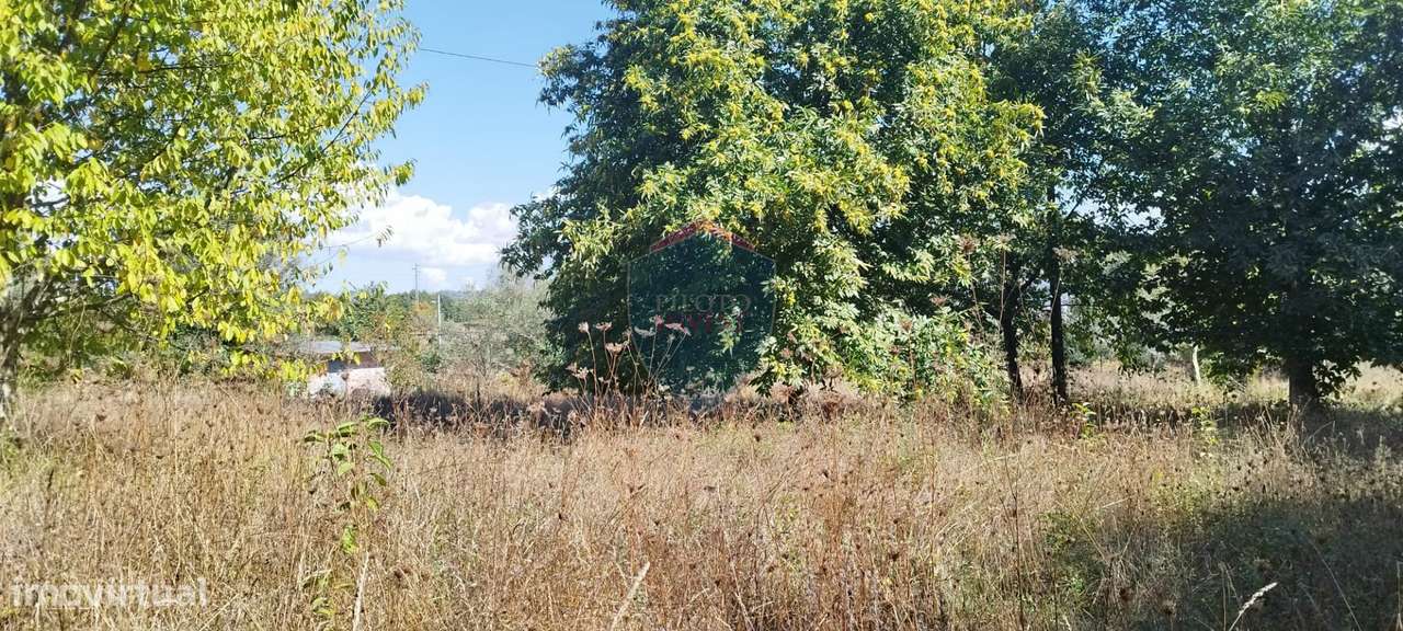 Terreno Rústico  Venda em Viseu,Viseu - Grande imagem: 2/8